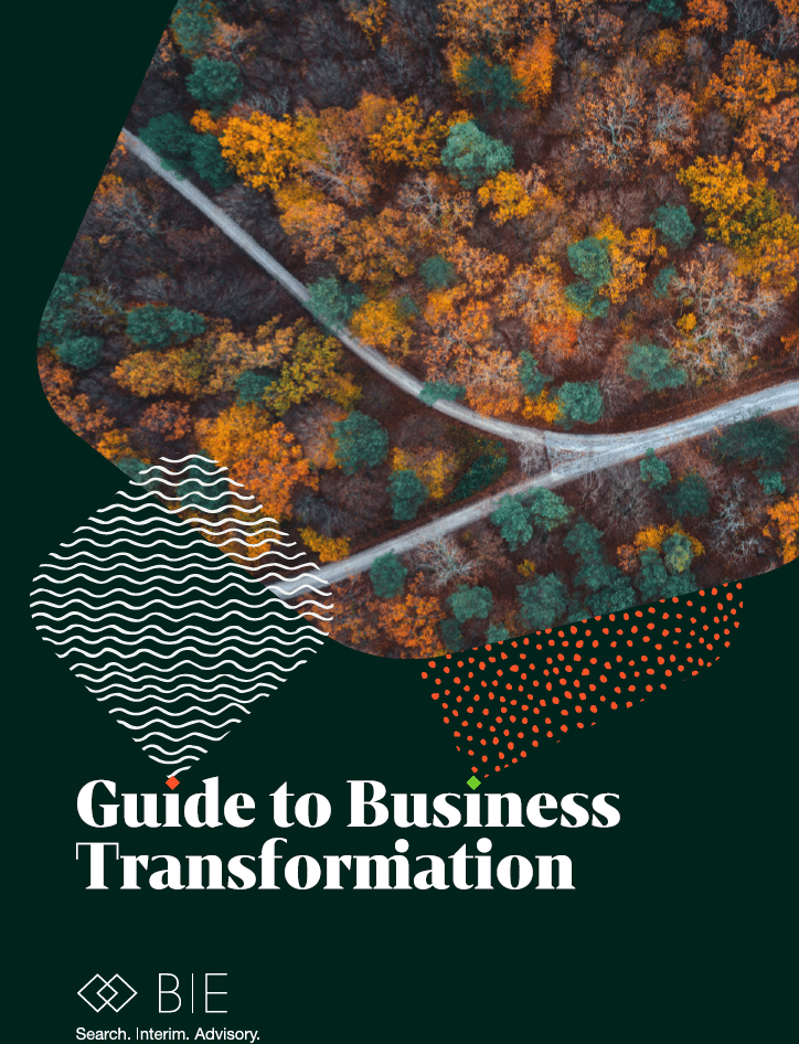 Front cover of BIE's Business Transformation Guide