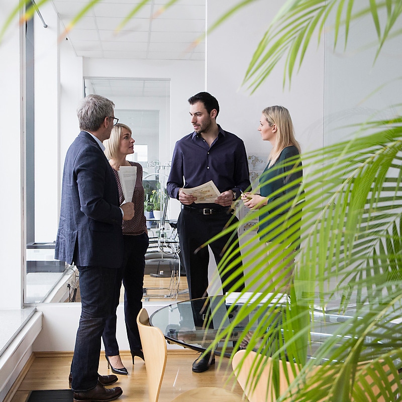 A group of male and female colleagues of mixed ages stood in a corridor having a conversation, slightly obscured by a green plant in the foreground.