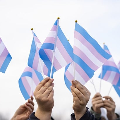 A group of hands holding small Transgender Pride flags on white sticks.